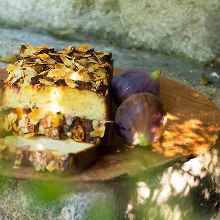 Alavya 2* 알라카티