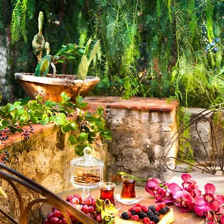 Alavya 2* 알라카티