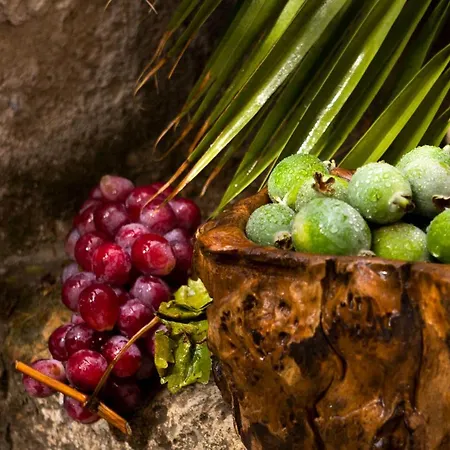 호텔 Alavya 알라카티