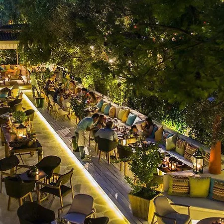 Otel Alavya