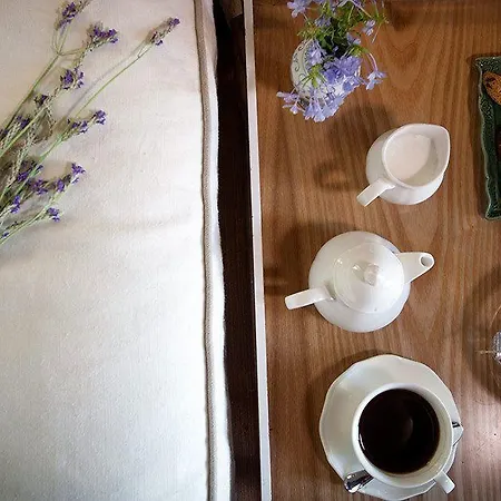 Hotel Alavya 2*