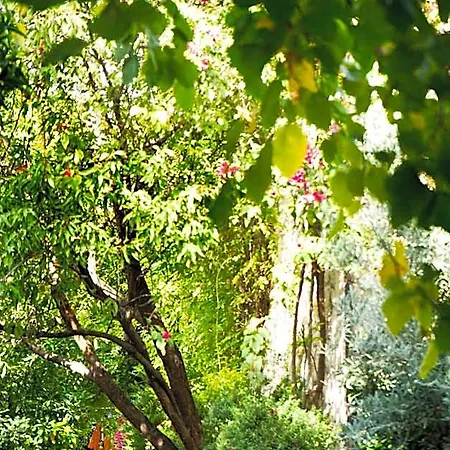 Hotel Alavya Alacati