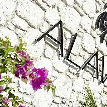 Alavya Hotel 2*